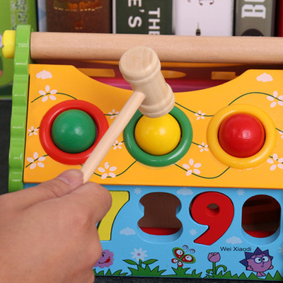 Дети формируют дом деревянное Montessori премудрости сортировщицы яркое